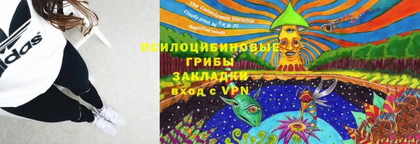 каннабис Белокуриха