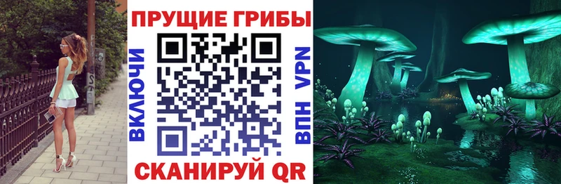 Галлюциногенные грибы GOLDEN TEACHER магазин продажи наркотиков Светогорск